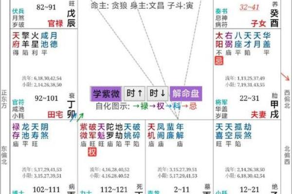 紫薇斗数夫妻宫带天府