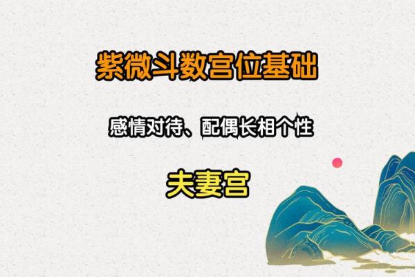 紫薇斗数夫妻宫带天府