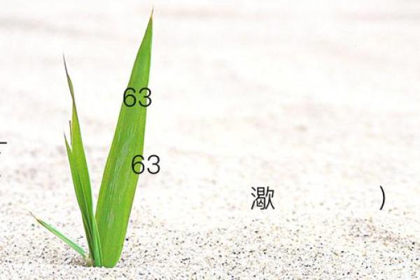 黄大仙灵签第81签解签