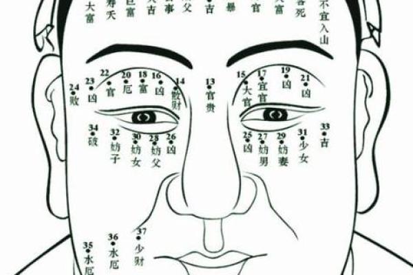 男手痣相图解算命