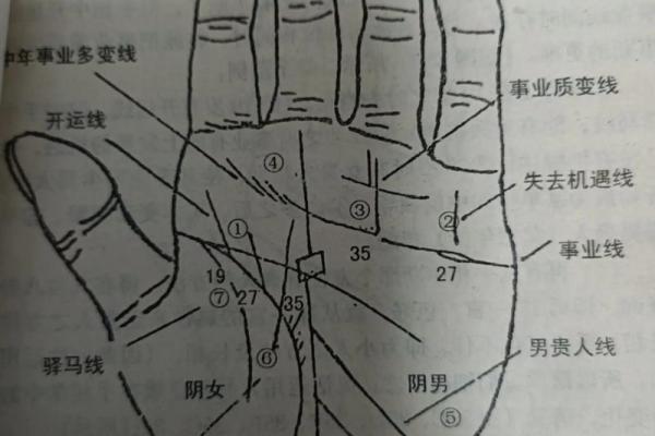 男手痣相图解算命