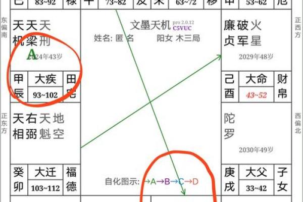 紫薇斗数与四柱