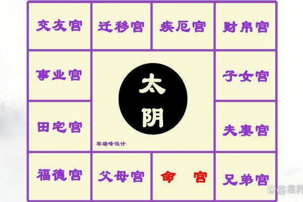 紫薇斗数太阴禄存