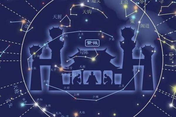 紫薇斗数视频合集