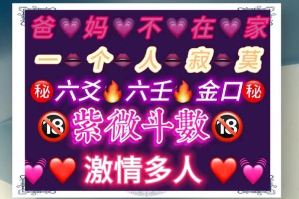紫薇斗数视频合集