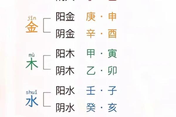 免费测五行八字查询器周易 八字算命测五行