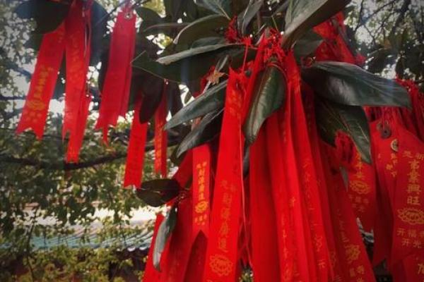 长沙求签很灵的地方  长沙开福寺500罗汉解签大全