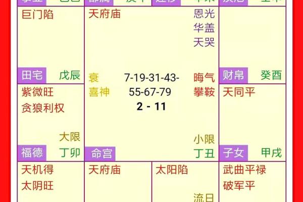 紫薇斗数富贵格