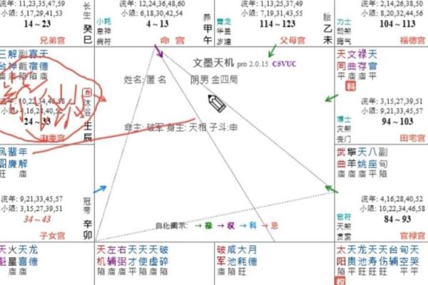 紫薇斗数暗合