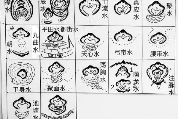 风水好的墓地