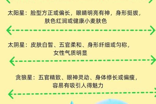 何国栋紫薇斗数