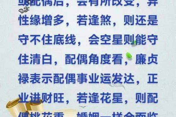 紫微斗数之夫妻宫与诸星,廉贞星在夫妻宫概论 紫微斗数之夫妻宫与诸星,廉贞星在夫妻宫概论