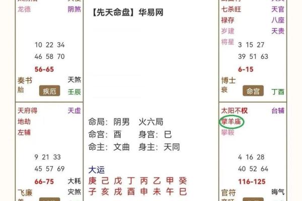 紫薇斗数午宫