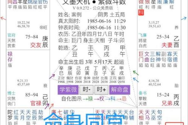 紫薇斗数午宫