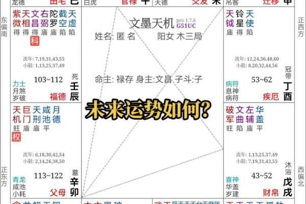 紫薇斗数年魁