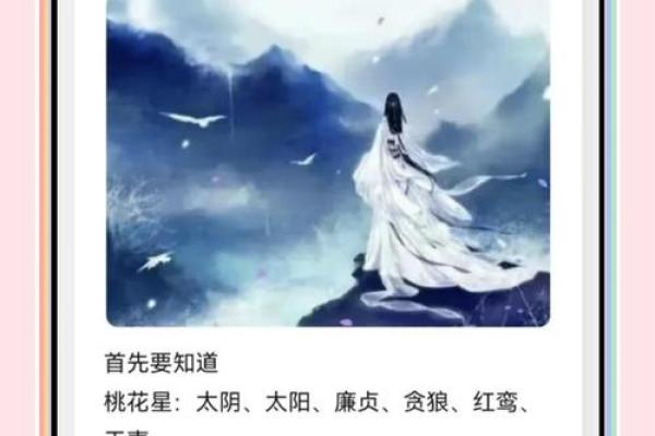 紫薇斗数桃花宫