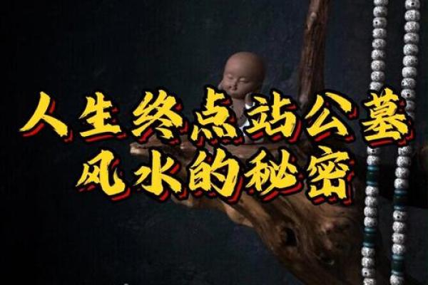 风水故事资讯；偷窃他人好风水