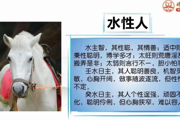 文江勇八字喜用神第四十七讲