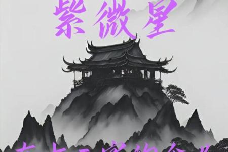 紫微斗数紫薇火星