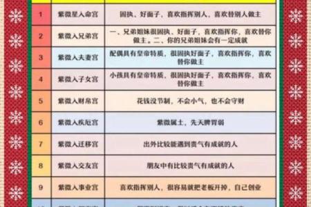 紫薇斗数应用