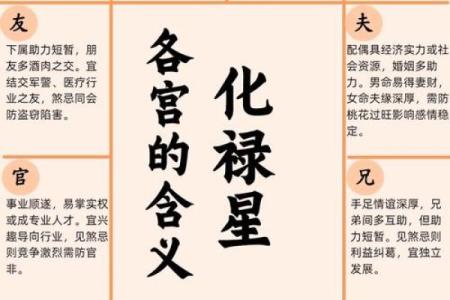 紫薇斗数全集九星