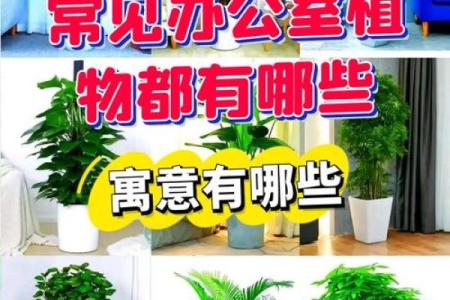 有利于公司健康与事业发展的环境气场风水