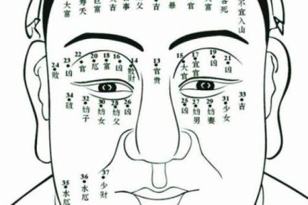 男手痣相图解算命