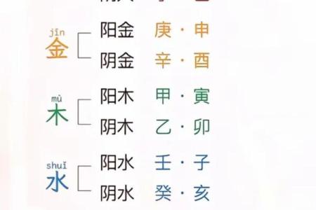 免费测五行八字查询器周易 八字算命测五行