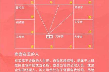 紫微斗数之疾厄宫在戌宫，是什么意思？