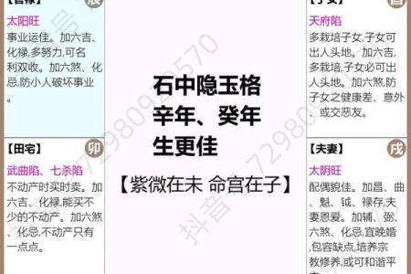 紫薇斗数富贵格