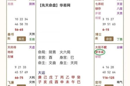 紫薇斗数午宫