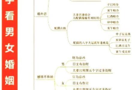美女八字算命大全