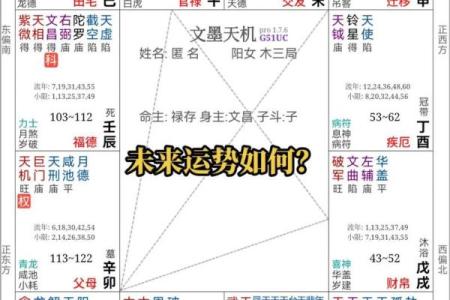 紫薇斗数年魁