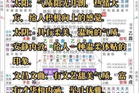 紫薇斗数生命密码