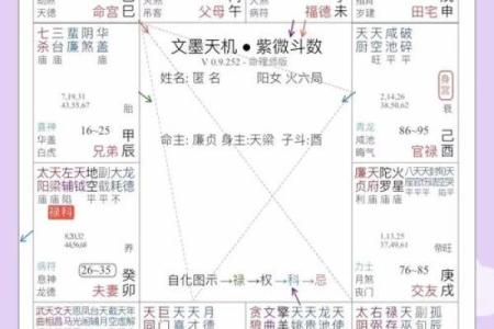 紫薇斗数四煞