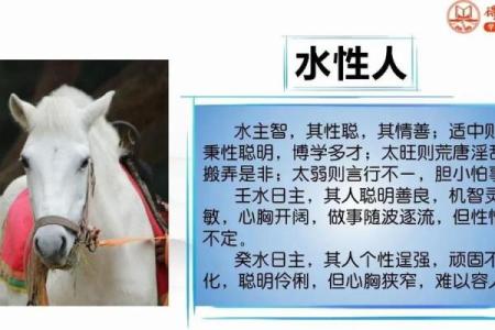 文江勇八字喜用神第四十七讲
