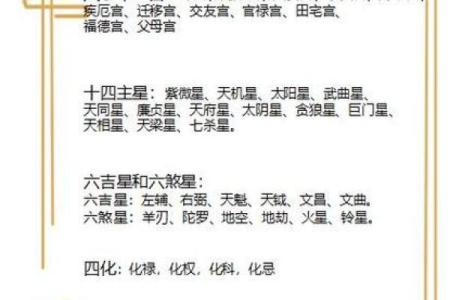 紫薇斗数会照什么意思