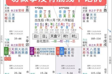 紫薇斗数命理学05