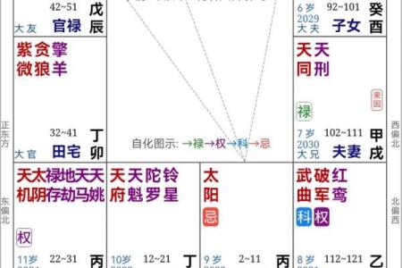 紫薇斗数的天罗地网