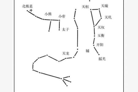 学紫薇斗数