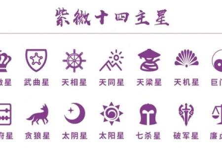 《紫微斗数》丙级星星曜组合特性