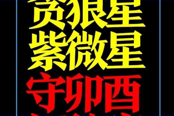 紫薇星贪狼星在福德宫
