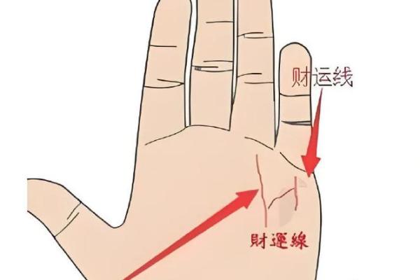 财运线是哪一条？财运线算命图解