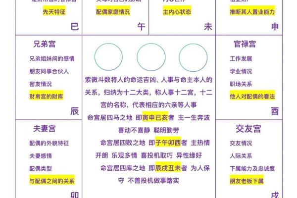 紫微斗数小星宿的含义 紫微斗数二十八星宿详解？