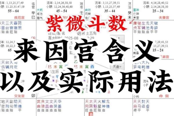 紫薇斗数的申宫是什么五行