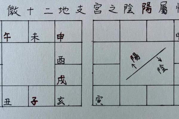 紫薇斗数的申宫是什么五行