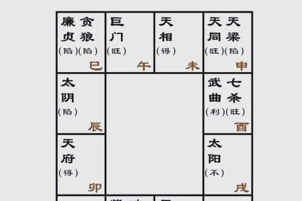 紫薇斗数七杀怕陀螺么