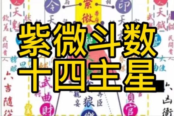 紫薇斗数陆