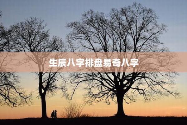易奇八字每日运程,算命八字排盘软件下载