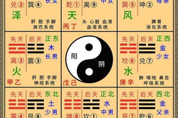 9楼的风水